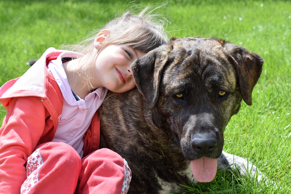 Общение с животным, особенно с собакой, дает ребенку субъективное ощущение безопасности